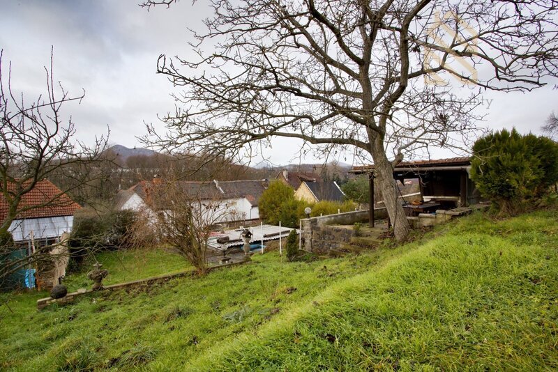 Prodej rodinného domu 235 m², pozemek 5026 m², Velké Žernoseky