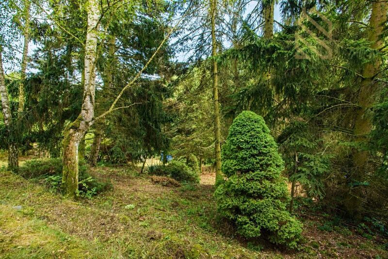 Prodej, chaty se zahradou, 2909 m2, Obec Malé Žernoseky okres Litoměřice