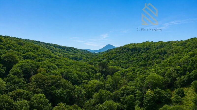 Prodej, chaty se zahradou, 2909 m2, Obec Malé Žernoseky okres Litoměřice