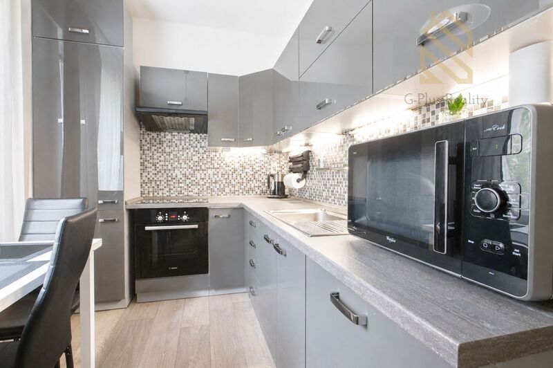 Pronájem bytu 2+1 s balkonem, 48 m2, Wolkerova, Lovosice