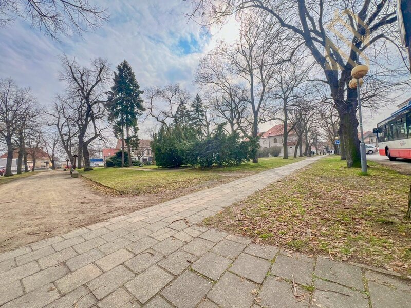 Prodej, vícegeneračního domu 420m2,pozemek 46m2,s terasou,Kostelec Nad Labem