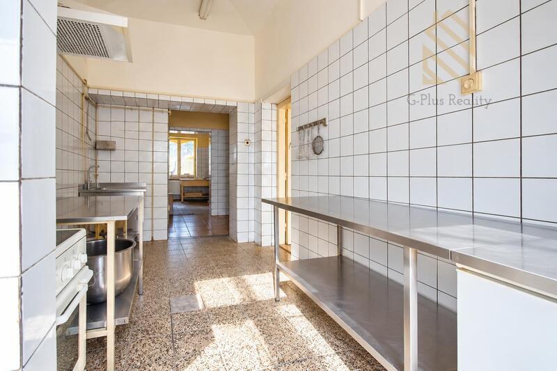 Prodej, rodinného domu 450m2, pozemek 623m2, Kostomlatská, Světec