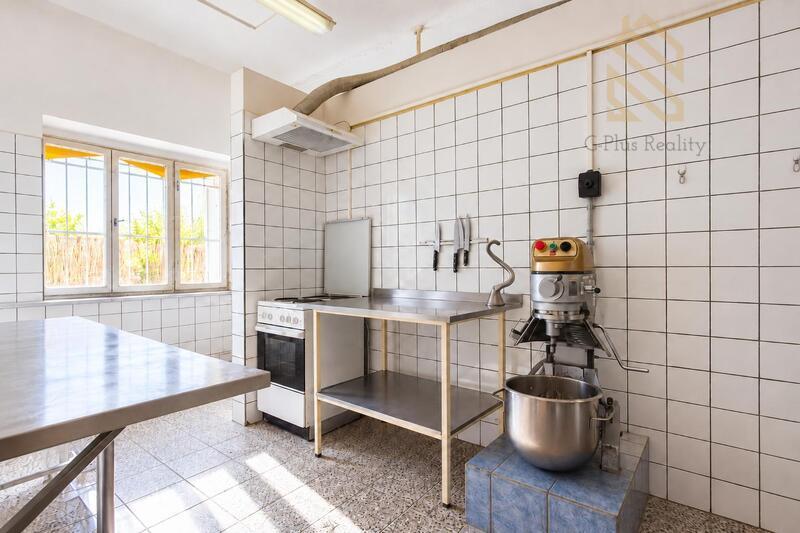 Prodej, rodinného domu 450m2, pozemek 623m2, Kostomlatská, Světec