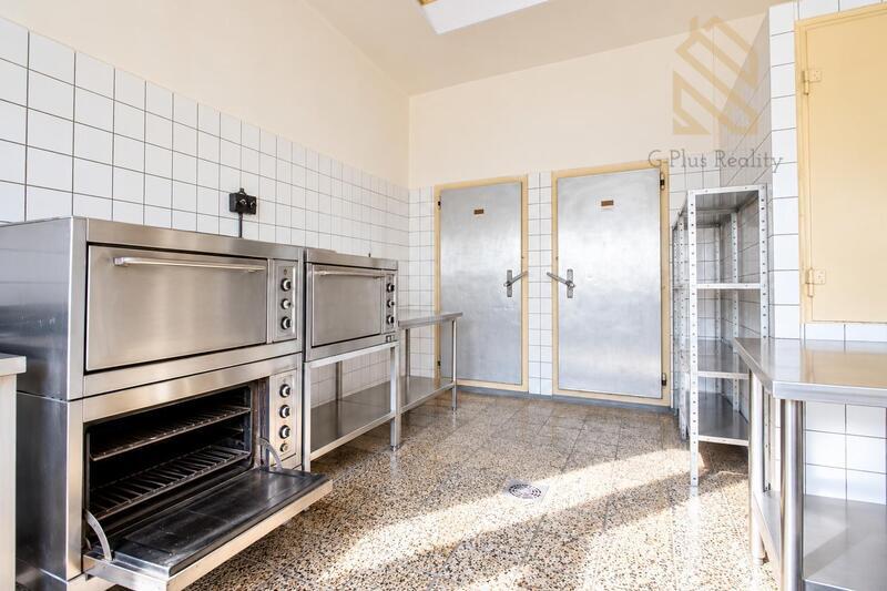 Prodej, rodinného domu 450m2, pozemek 623m2, Kostomlatská, Světec