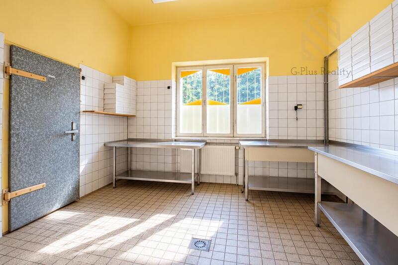 Prodej, rodinného domu 450m2, pozemek 623m2, Kostomlatská, Světec