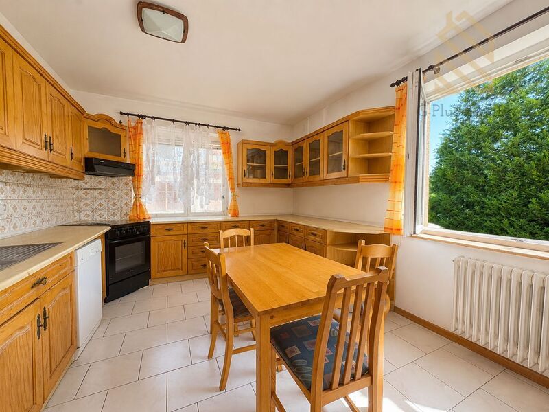Prodej, rodinný dům 290m2, pozemek 699m2, Děčín - Jalůvčí