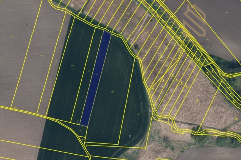 Prodej, Pozemek, 7211m², Vrbice u Roudnice nad Labem