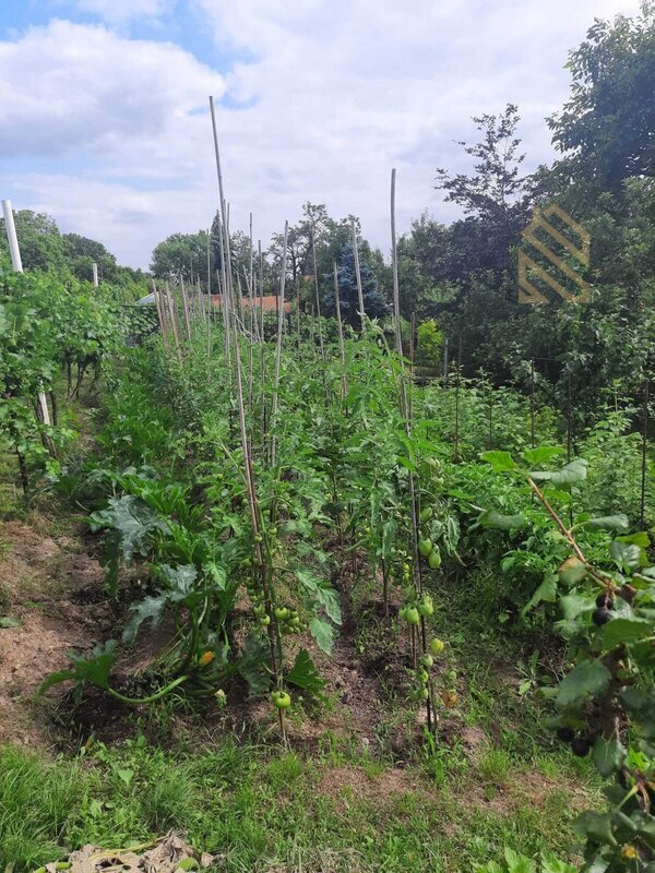 Prodej, rodinný dům 235 m2, pozemek 5026 m2, Velké Žernoseky