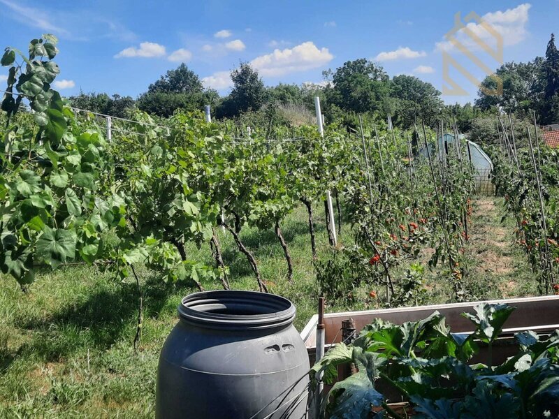 Prodej, rodinný dům 235 m2, pozemek 5026 m2, Velké Žernoseky
