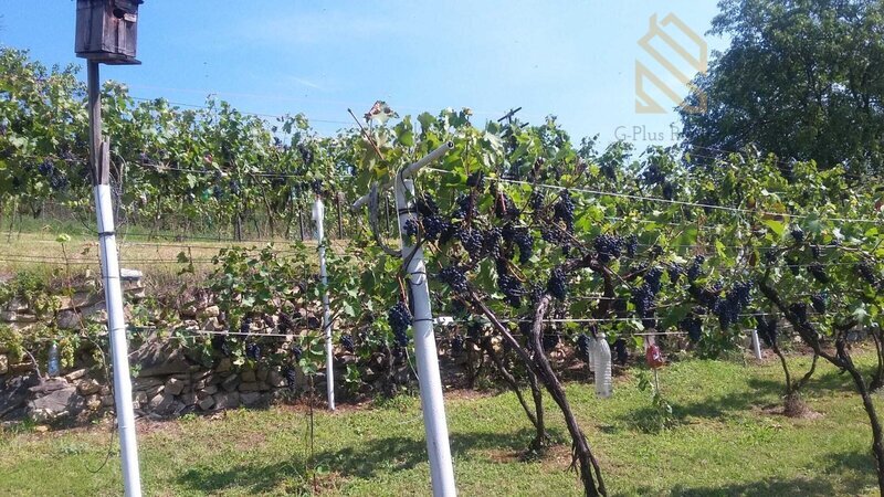 Prodej, rodinný dům 235 m2, pozemek 5026 m2, Velké Žernoseky