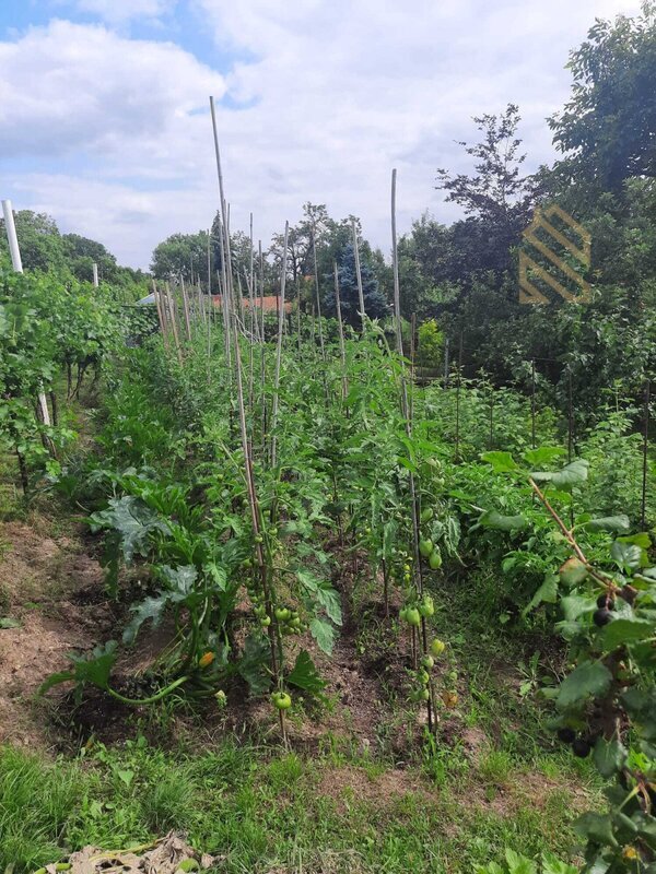 Prodej, pozemek 4490 m2,  Velké Žernoseky