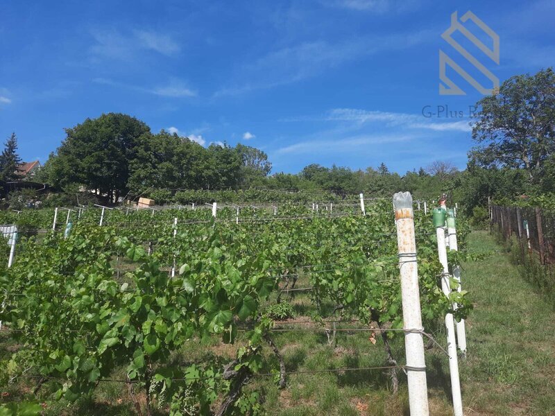 Prodej, pozemek 4490 m2,  Velké Žernoseky