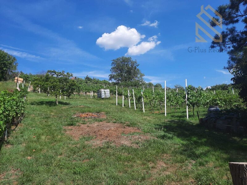 Prodej, pozemek 4490 m2,  Velké Žernoseky