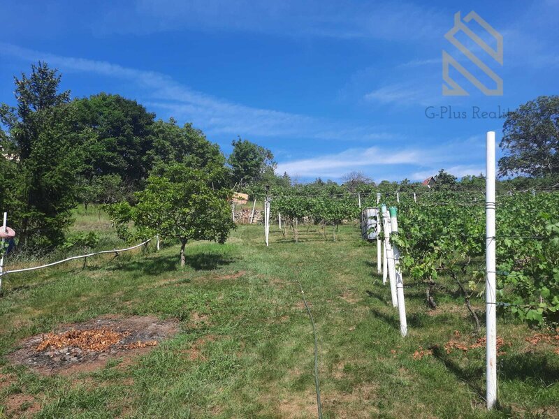 Prodej, pozemek 4490 m2,  Velké Žernoseky