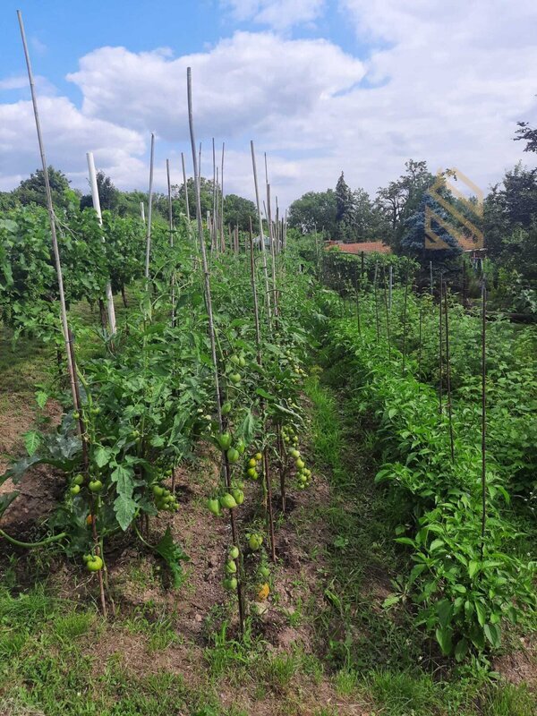 Prodej, pozemek 4490 m2,  Velké Žernoseky