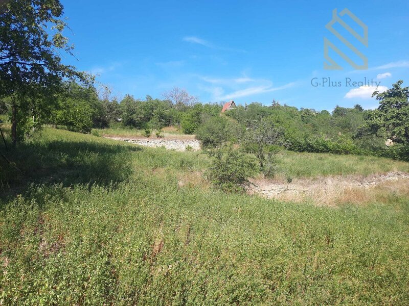 Prodej, pozemek 4490 m2,  Velké Žernoseky