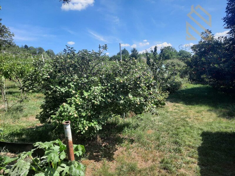 Prodej, pozemek 4490 m2,  Velké Žernoseky