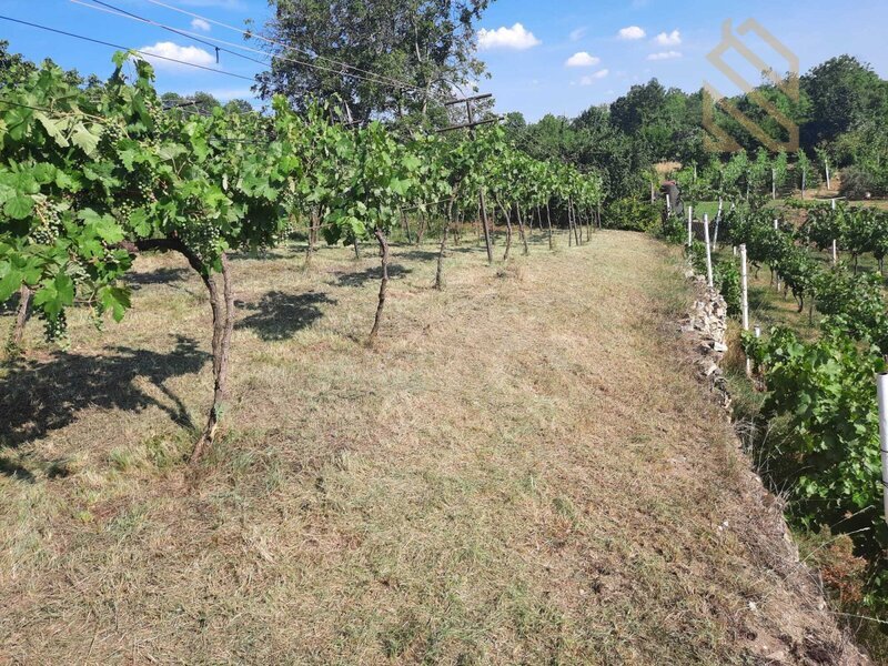 Prodej, pozemek 4490 m2,  Velké Žernoseky