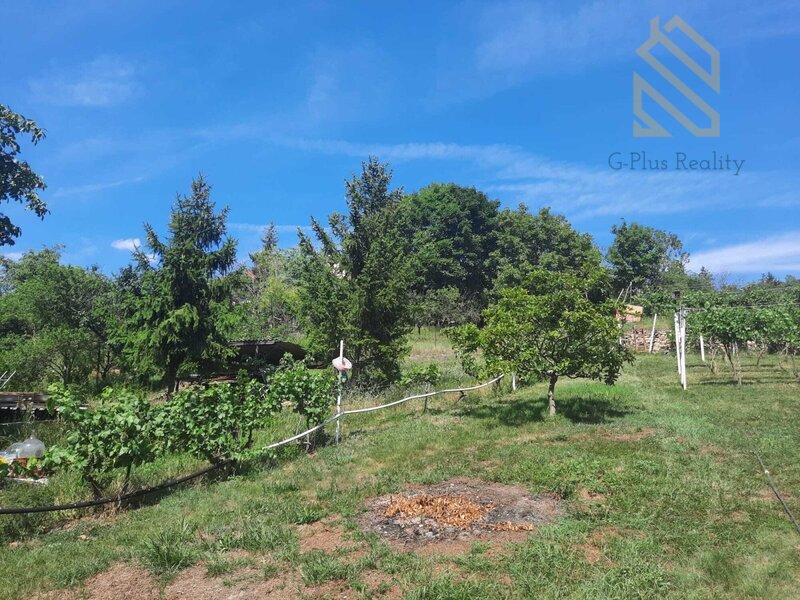 Prodej, pozemek 4490 m2,  Velké Žernoseky