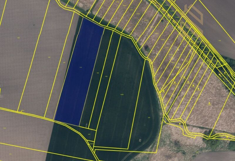 Prodej, Pozemek, 7211m², Vrbice u Roudnice nad Labem