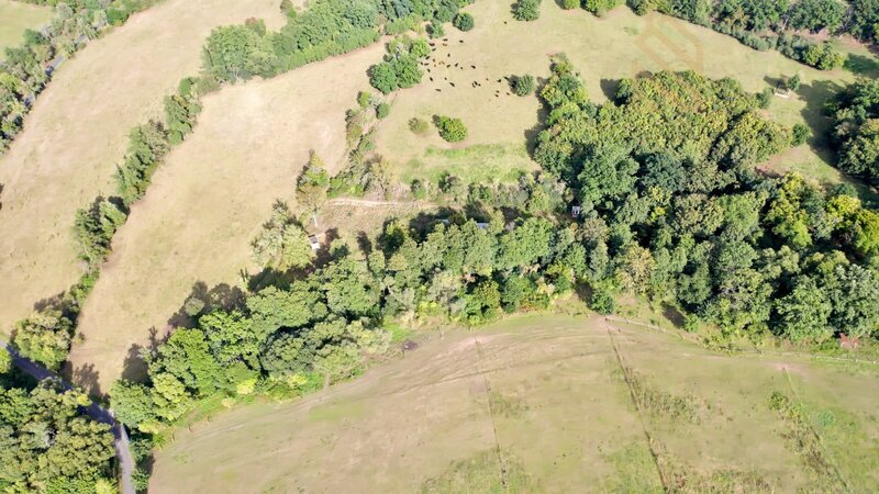 Prodej, pozemek,  7500 m2,  Řehlovice-Stadice