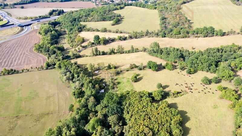 Prodej, pozemek,  7500 m2,  Řehlovice-Stadice