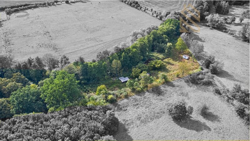 Prodej, pozemek,  7500 m2,  Řehlovice-Stadice