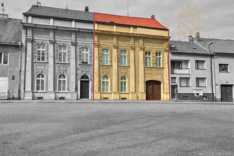 Prodej, vícegeneračního domu 420m2,pozemek 46m2,s terasou,Kostelec Nad Labem