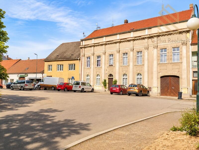 Prodej, vícegeneračního domu 420m2,pozemek 46m2,s terasou,Kostelec Nad Labem