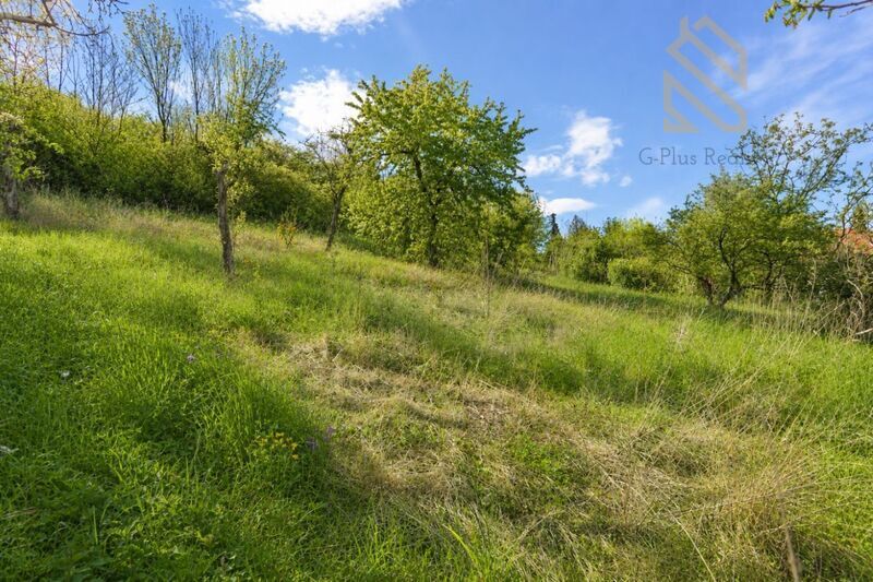 Prodej, rodinný dům 335 m2, pozemek 892 m2, obec Raná u Loun