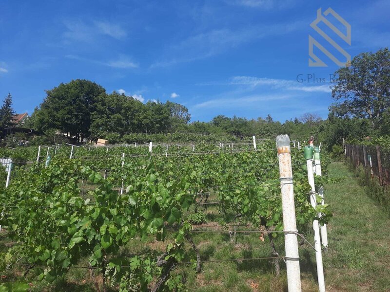 Prodej, rodinný dům 235 m2, pozemek 5026 m2, Velké Žernoseky