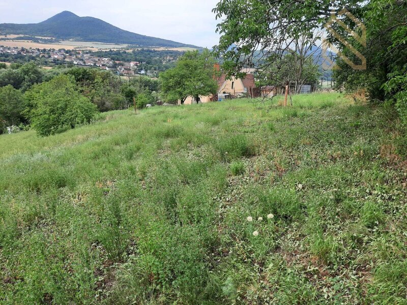 Prodej, rodinný dům 235 m2, pozemek 5026 m2, Velké Žernoseky