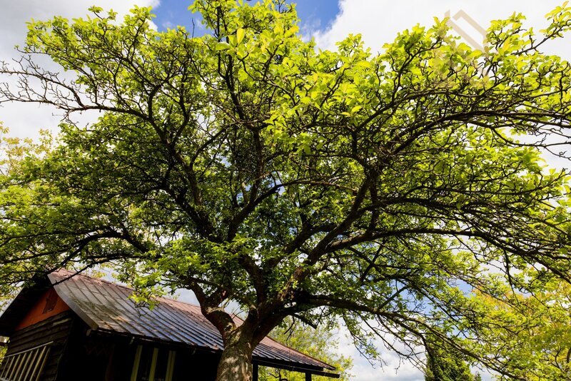 Prodej, chata 14m2, zahrada 588m2, Děčín - VI Letná