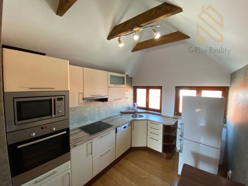Prostorný podkrovní byt 2+1, 79 m2, Louny