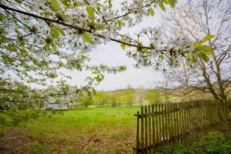 Prodej pozemku 2370 m², Smolnice u Loun