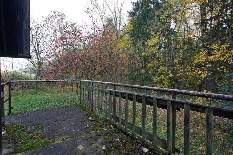 Prodej, chaty, Bílichov